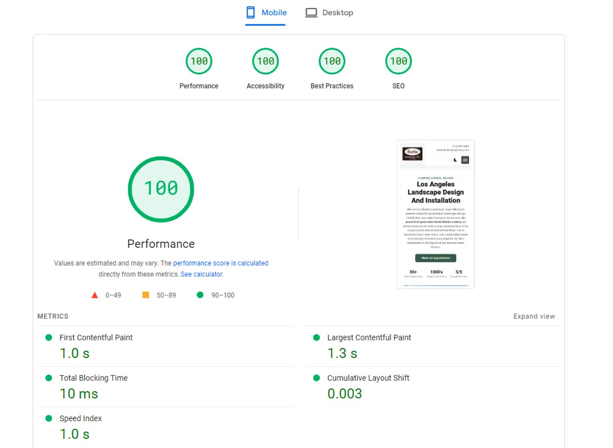Google PageSpeed 100 score screenshot